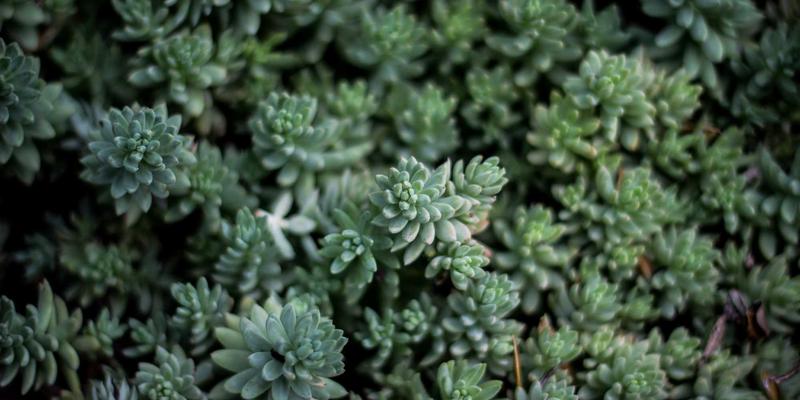 创业加盟新地标：解密金华创富88的交通优势与未来规划