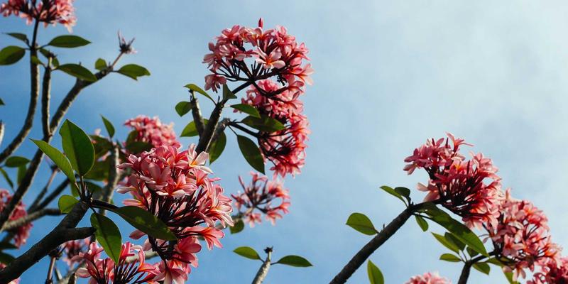 后疫情时代创业新选择：金华创富88共享办公空间的灵活租赁与加盟策略