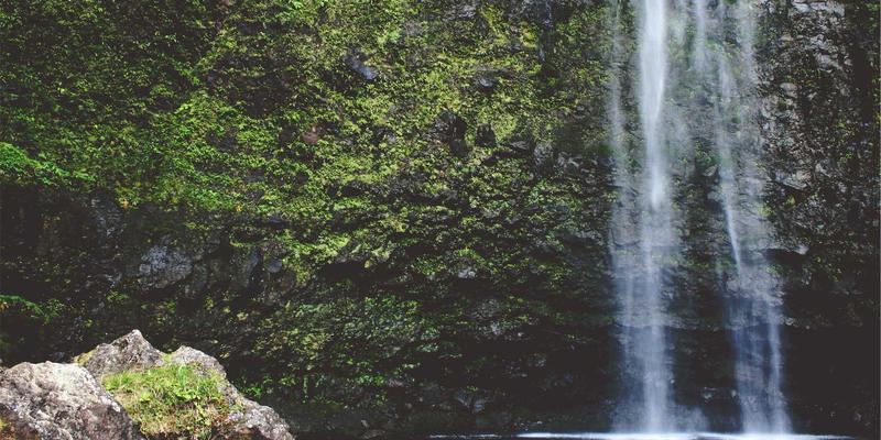 金华创富8860：揭秘备受关注的创业加盟项目，开启您的财富新篇章