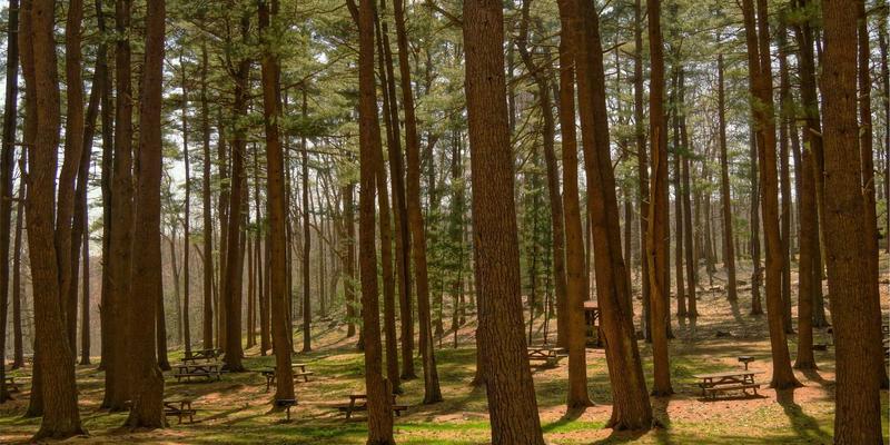 金华创富8883：解码加盟新势力，如何赋能创业者实现财富增长