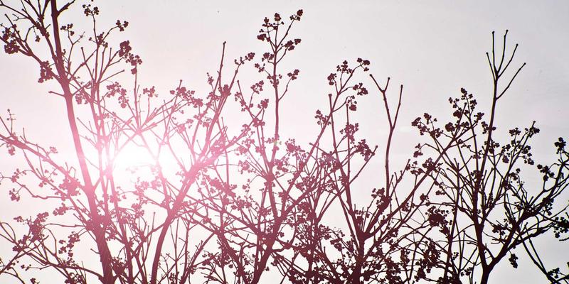 金华创富8888：解码新时代创业项目的加盟品牌成功之道