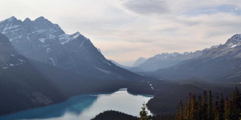 金华创富88与万达、世贸竞品对比：创业项目加盟选址的SWOT深度解析