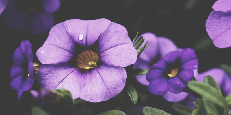 金华创富88创业扶持政策全解析：补贴、税收优惠与贷款支持，助您加盟品牌成功创业