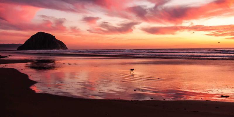 金华创富88周边人口结构与消费偏好深度解析：加盟品牌如何精准布局创业项目