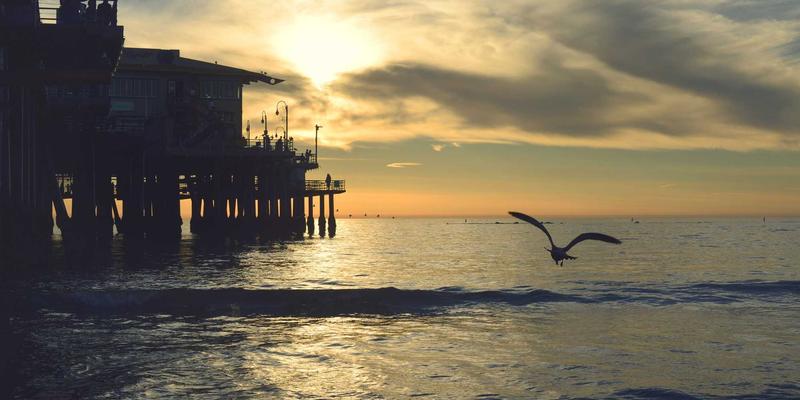 金华创富88夜间经济投资指南：解锁酒吧、娱乐与24小时便利店的创业机遇