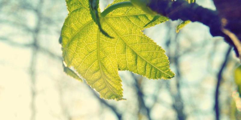 金华创富88租金回报率深度解析：历史数据回顾与未来投资趋势预测