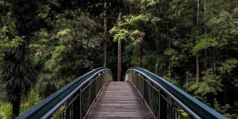 金华创富88项目投资前景分析：创业项目加盟品牌的机遇与挑战