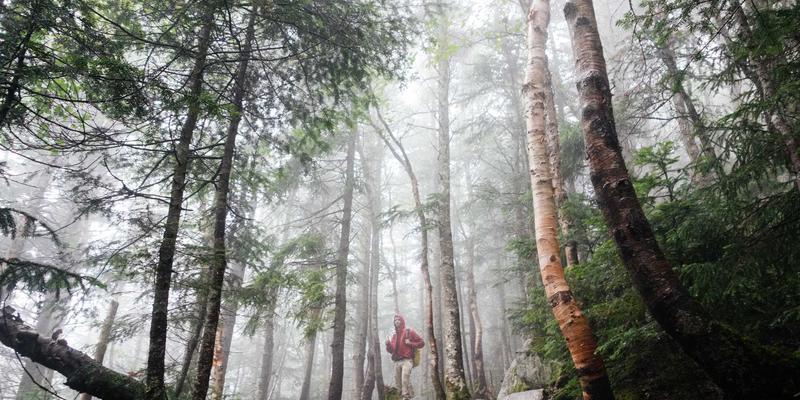 金华创富88项目深度解析：开发商实力如何成为创业投资的关键保障