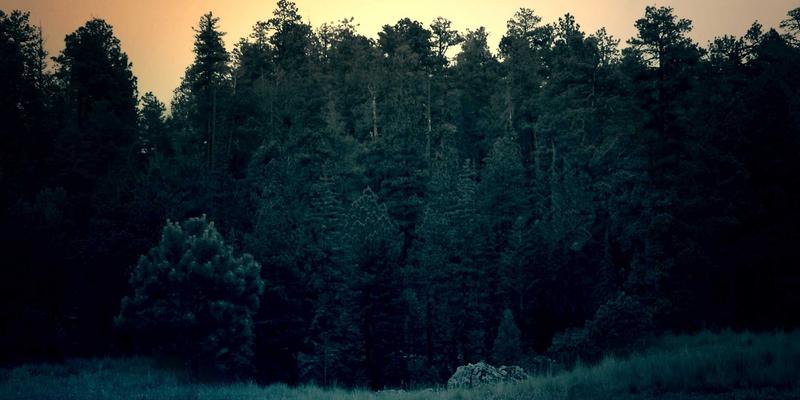 金华创富88餐饮业态规划：解锁园区内部消费闭环的黄金投资机会